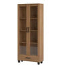 Modern C58 Frejio Bookcase With Glass Door And Drawer - Dalla Costa